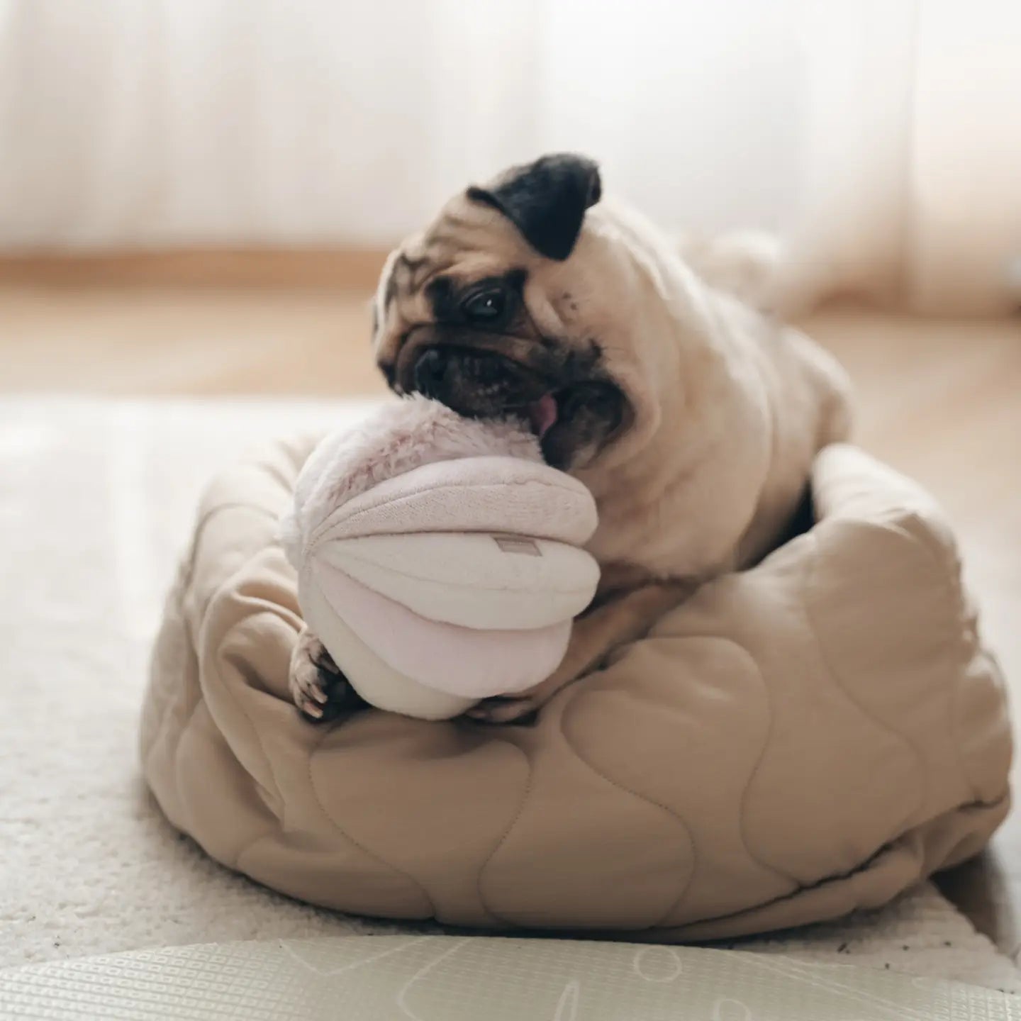 JOUET POUR CHIEN TOTO ENRICHISSEMENT - Toutoustore