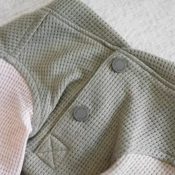 GAUFRE VÊTEMENTS POUR CHIEN - Toutoustore