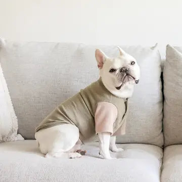 GAUFRE VÊTEMENTS POUR CHIEN - Toutoustore
