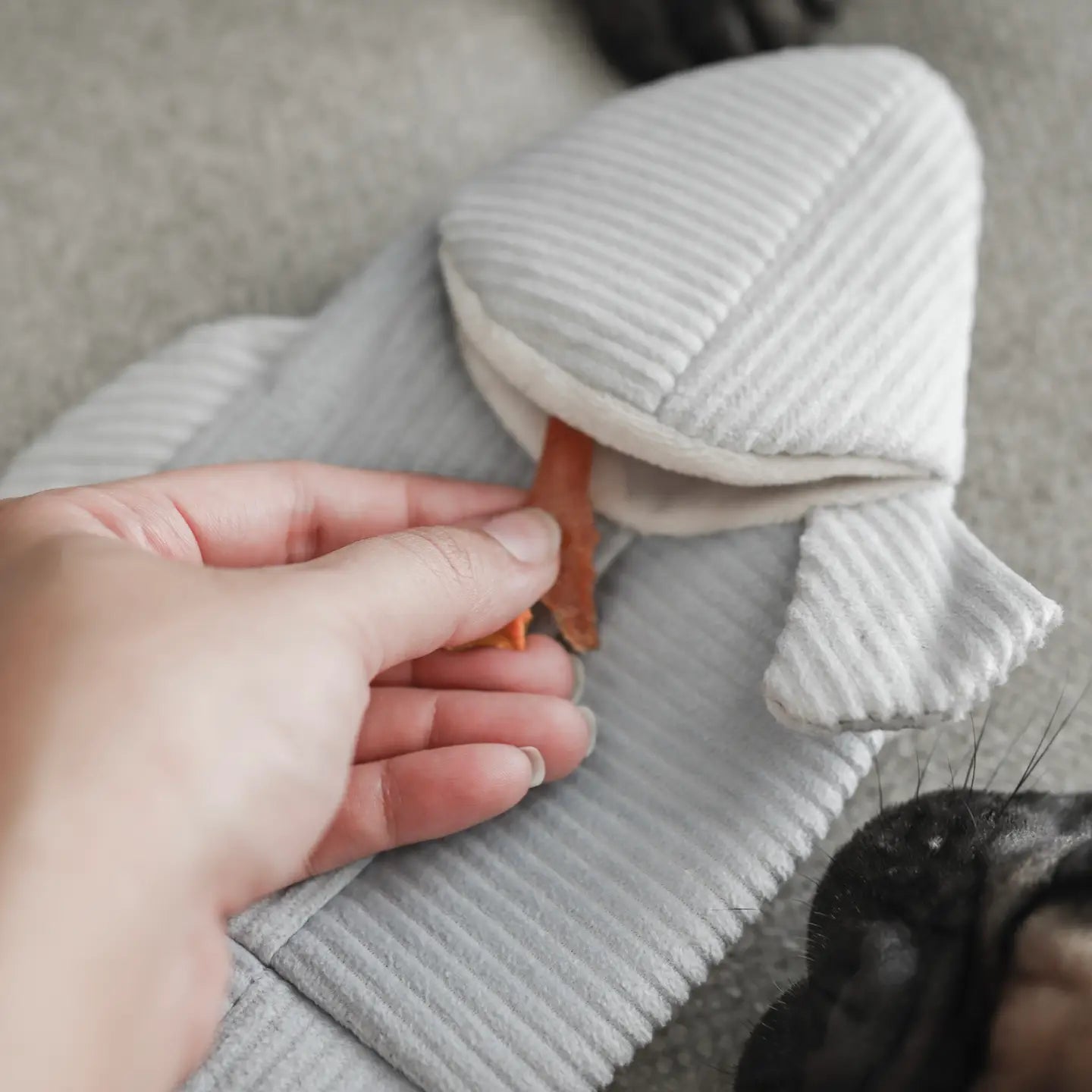 JOUET POUR CHIEN TRUIT ENRICHISSEMENT - Toutoustore