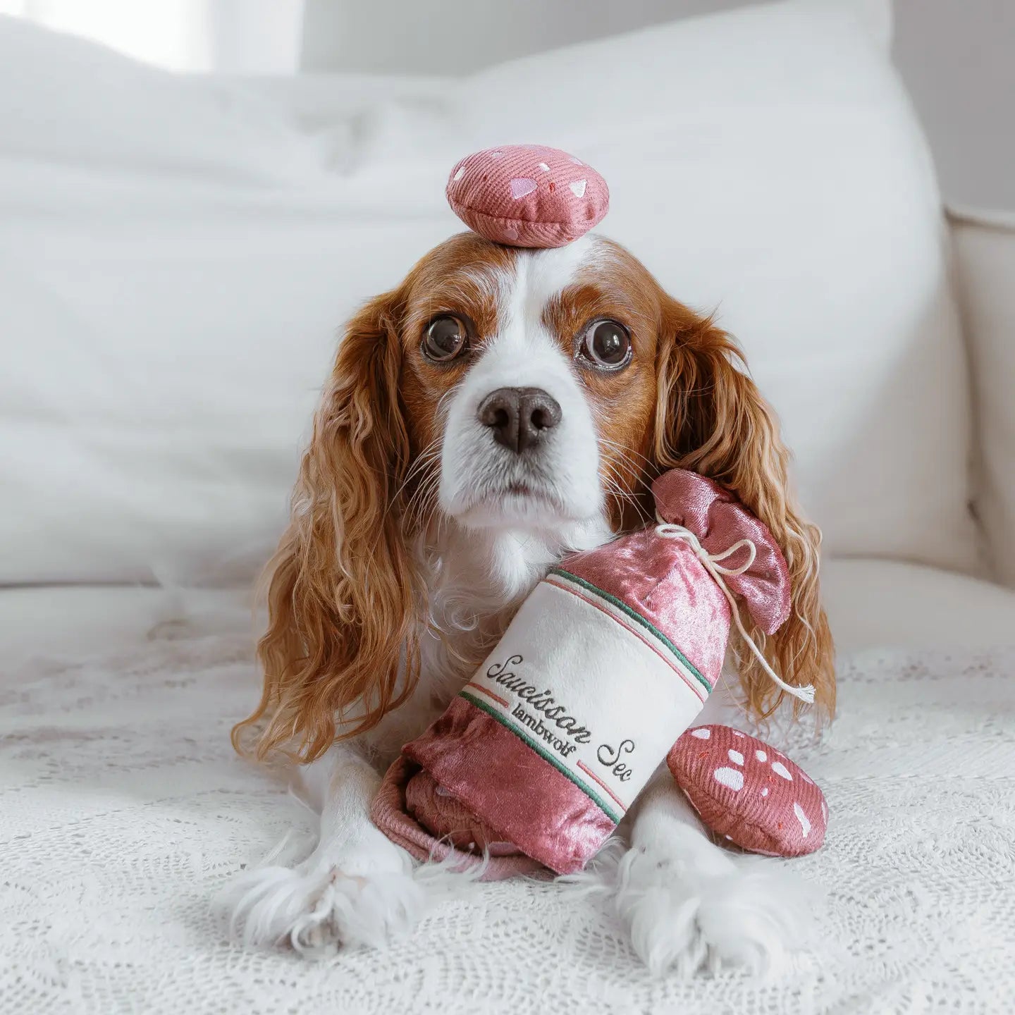 JOUET POUR CHIEN ENRICHISSANT SAUCISSON SEC