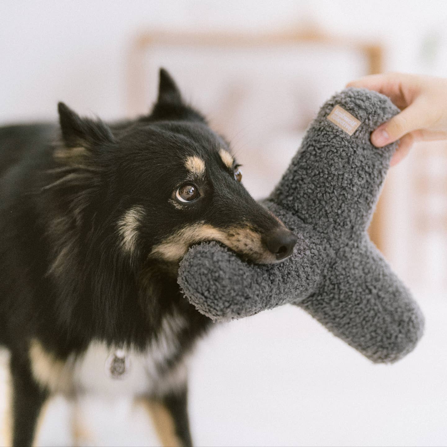 O BREUER JOUET SURDIMENSIONNÉ POUR CHIEN - Toutoustore