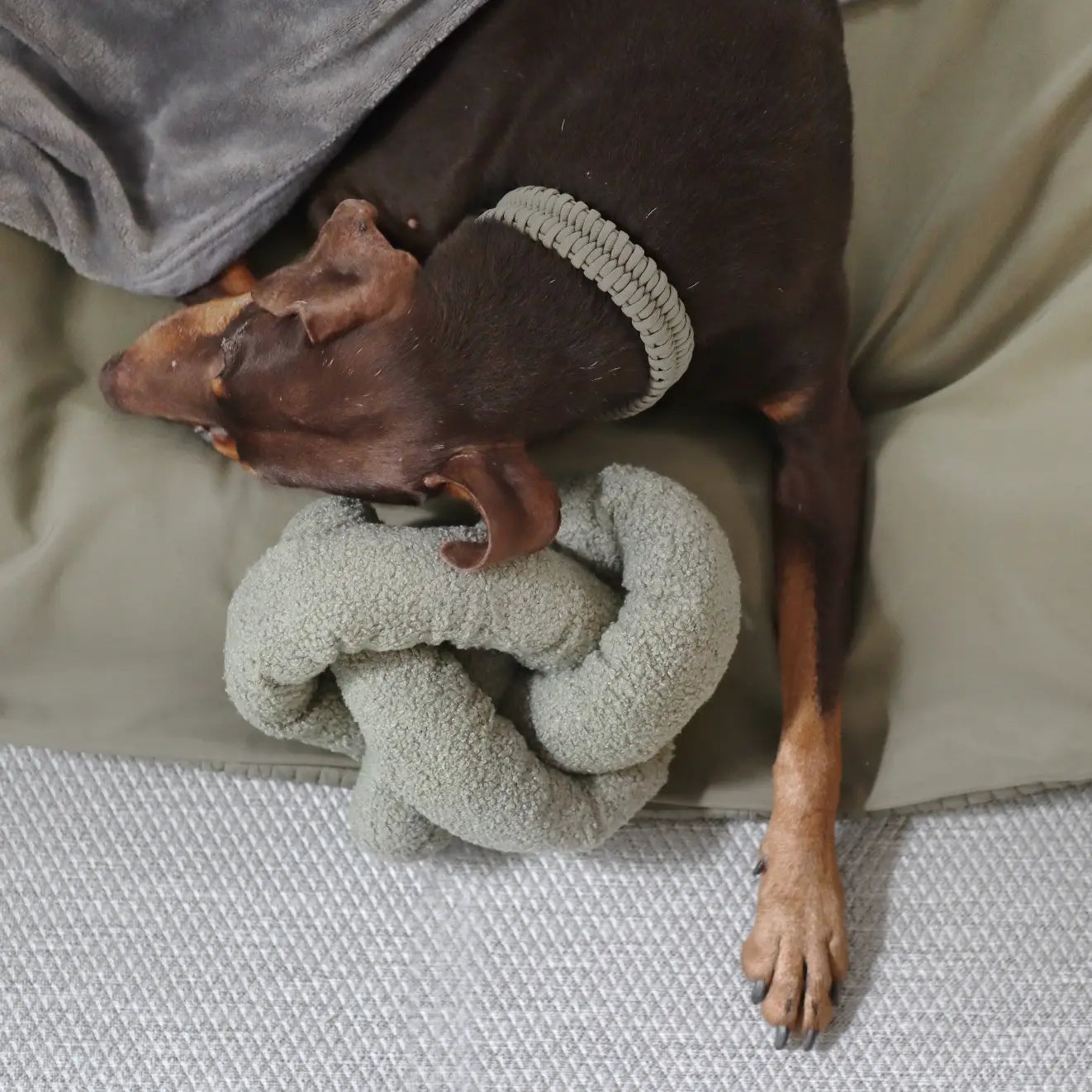 O NOU JOUET SURDIMENSIONNÉ POUR CHIEN ENRICHISSEMENT - Toutoustore