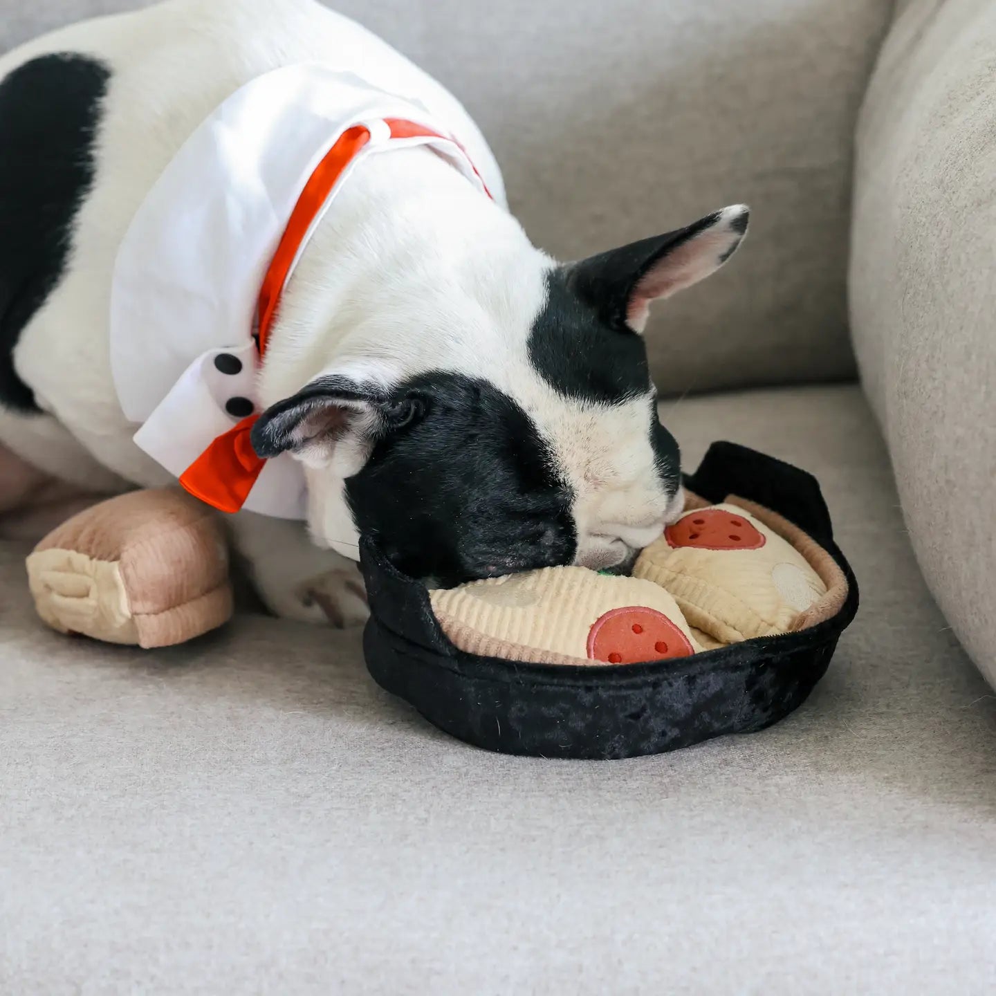 JOUET POUR CHIEN DEEP DISH PIZZA ENRICHISSEMENT - Toutoustore