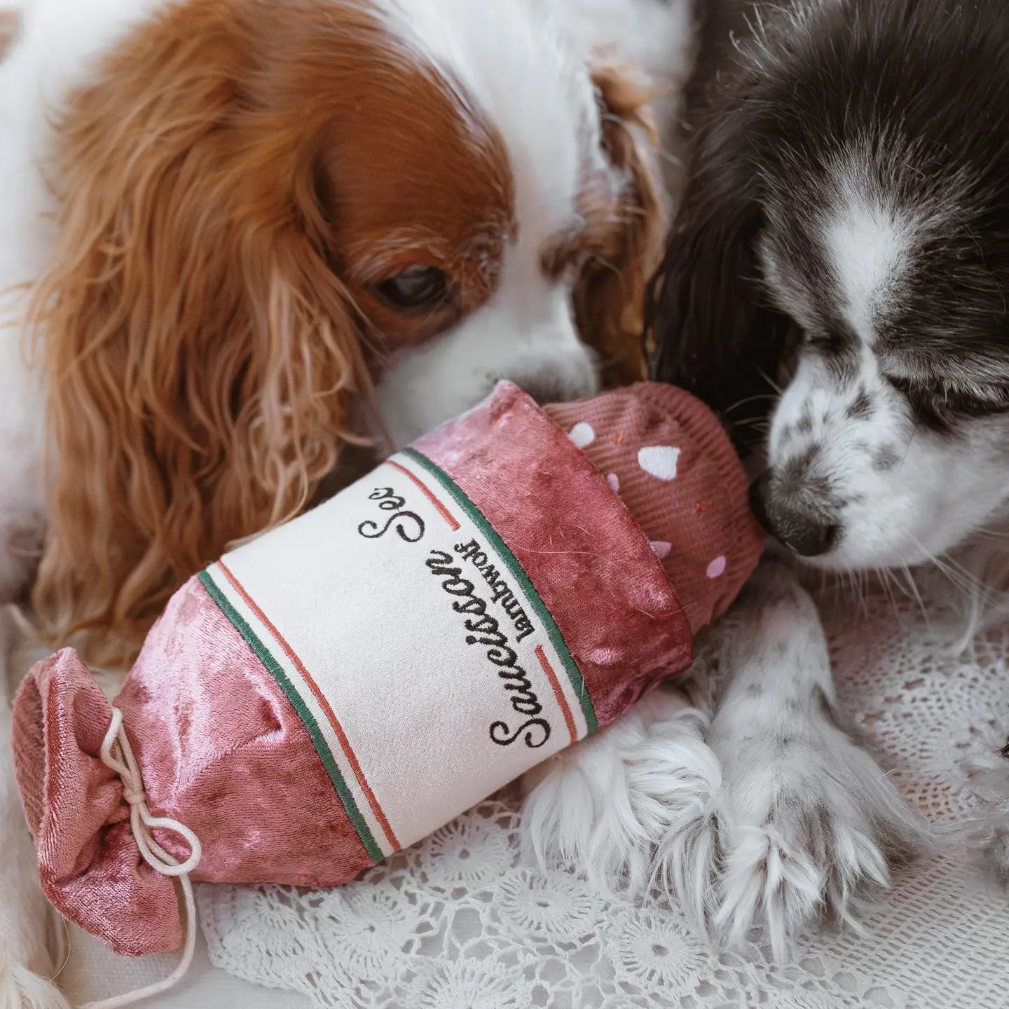 JOUET POUR CHIEN ENRICHISSANT SAUCISSON SEC