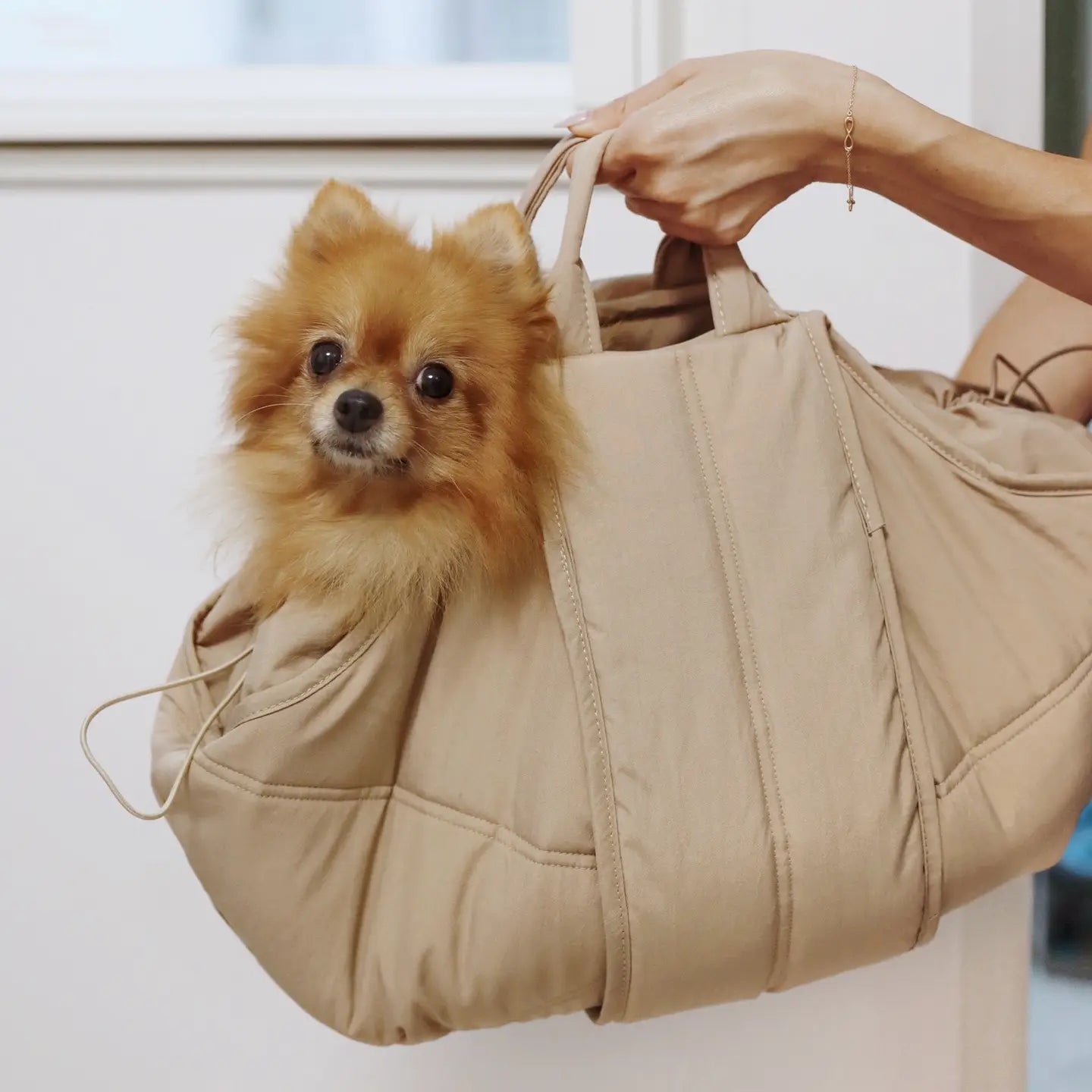 OLLA PETIT NACELLE DE TRANSPORT POUR CHIENS - Toutoustore