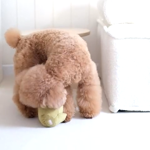JOUET POUR CHIEN ARTICHAUT ENRICHISSEMENT - Toutoustore