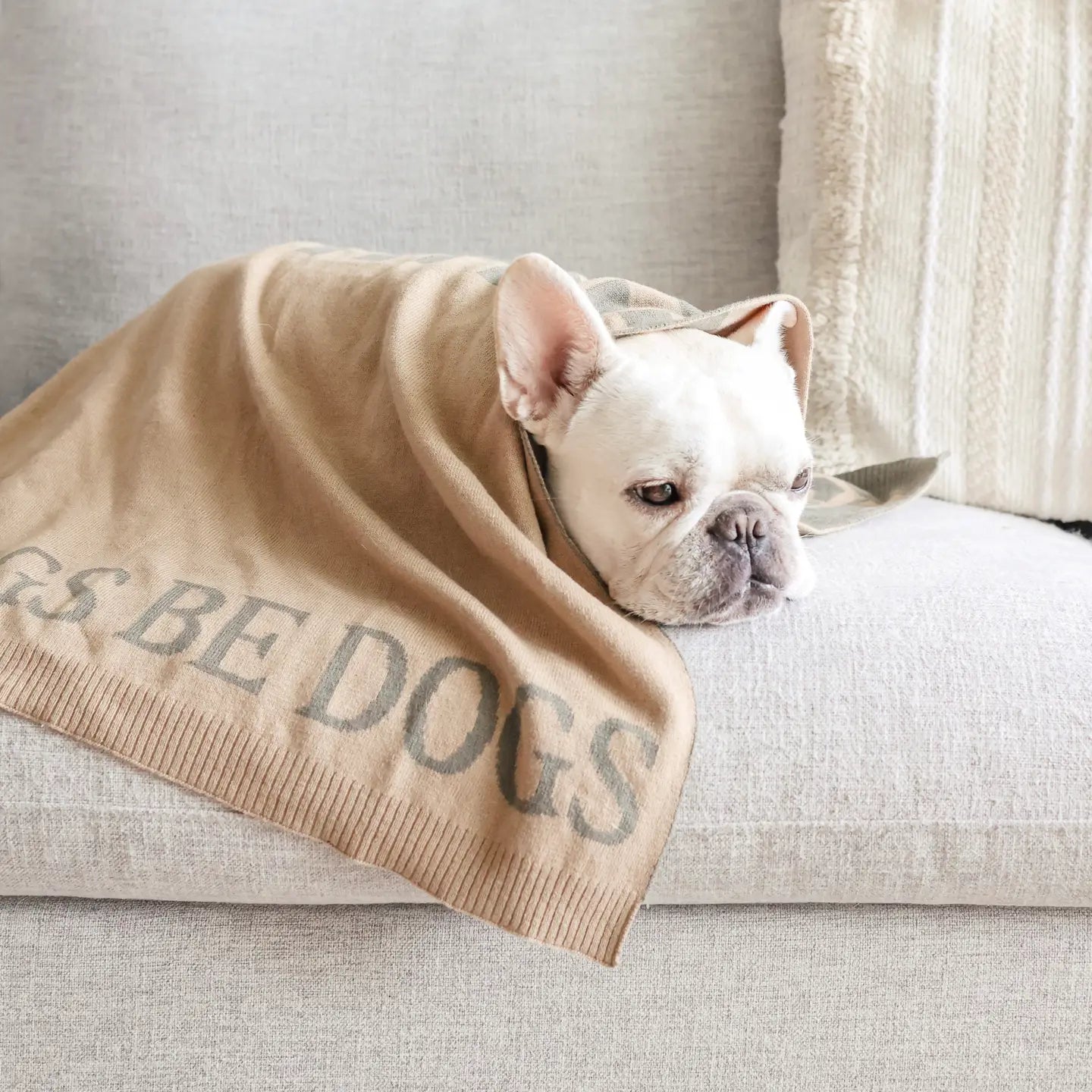 COUVERTURE LET DOGS BE DOGS - Toutoustore 