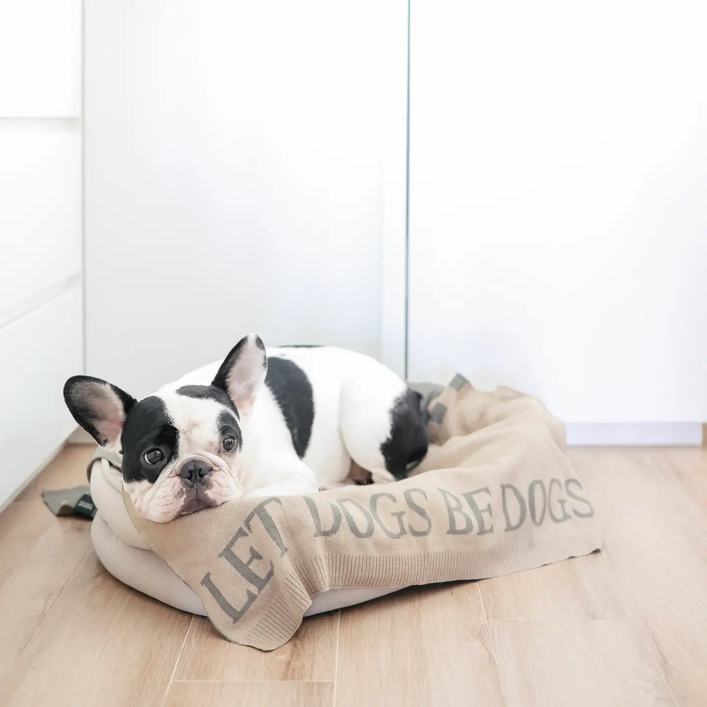 COUVERTURE LET DOGS BE DOGS - Toutoustore 