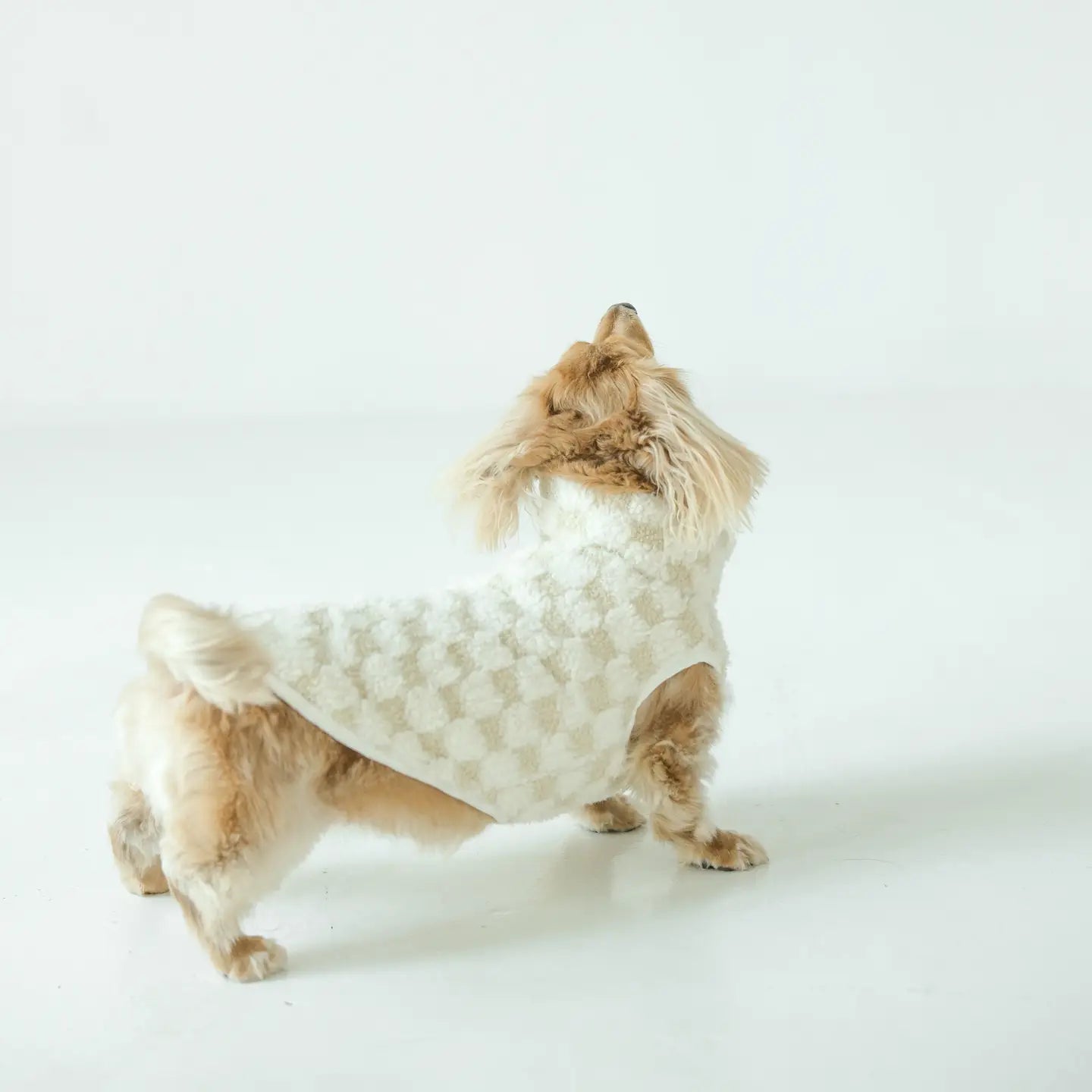 CROSBY VÊTEMENTS POUR CHIENS - Toutoustore 