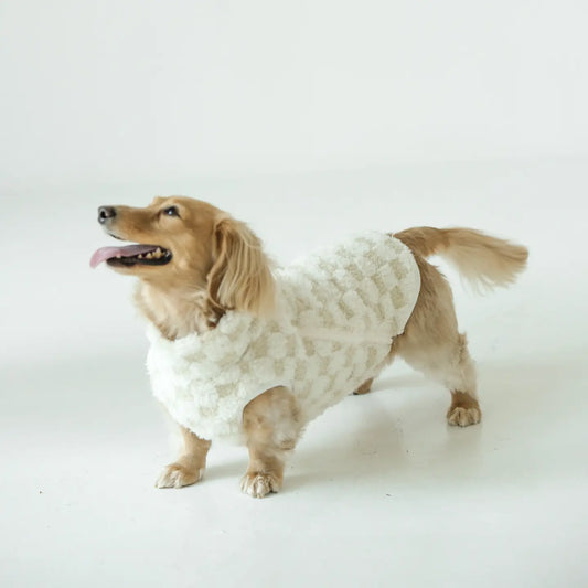 CROSBY VÊTEMENTS POUR CHIENS - Toutoustore 