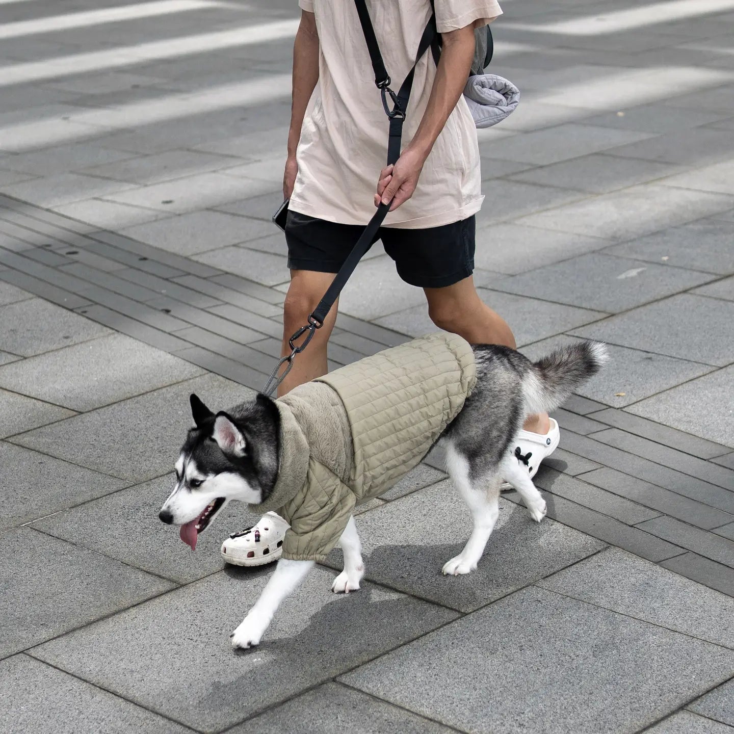 Manteau Vêtements pour Chiens - Toutoustore 