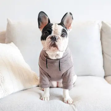 BRETON VÊTEMENTS POUR CHIEN - Toutoustore 