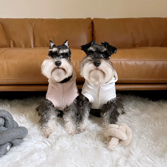 ROBIN VÊTEMENTS POUR CHIEN - Toutoustore 