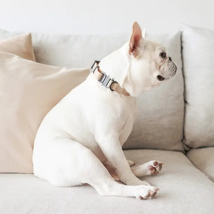 COLLIER AVA CHIEN - Toutoustore 
