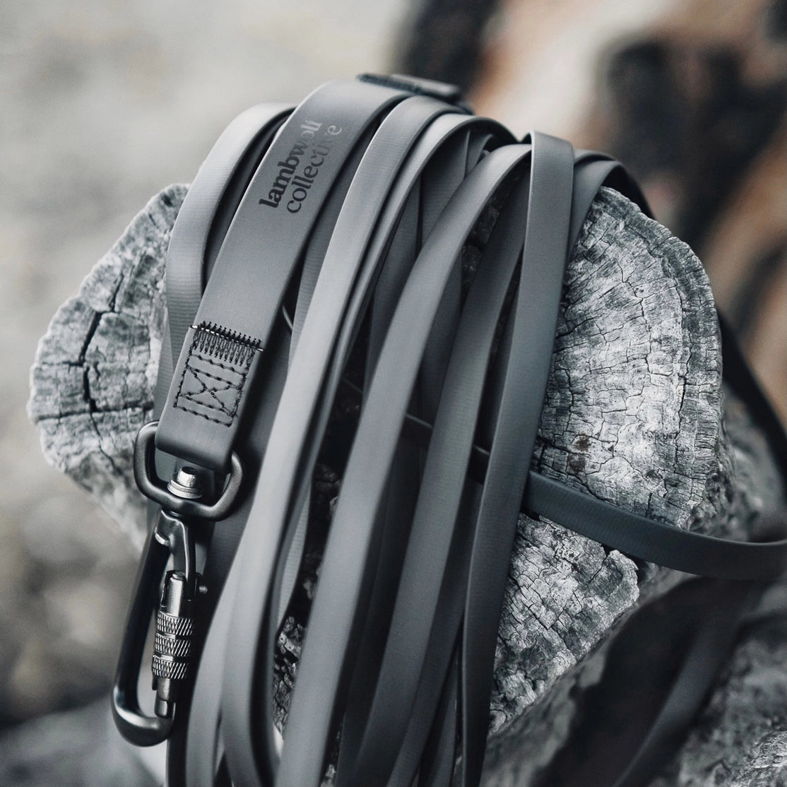 NOMAD | LAISSE ULTRALÉGÈRE POUR CHIEN