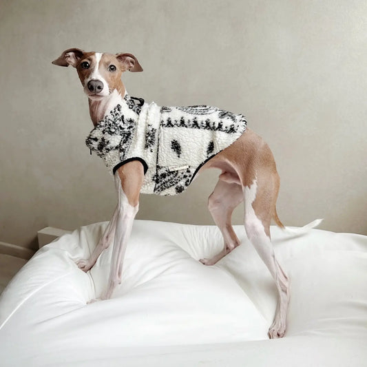 CAMPING-CAR VÊTEMENTS POUR CHIEN - Toutoustore 