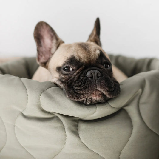 LIT À TARTES POUR CHIEN ET CHAT - Toutoustore 