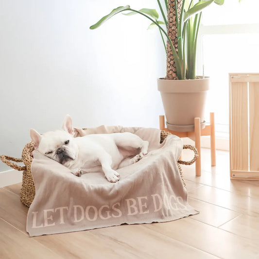 COUVERTURE LET DOGS BE DOGS - Toutoustore 