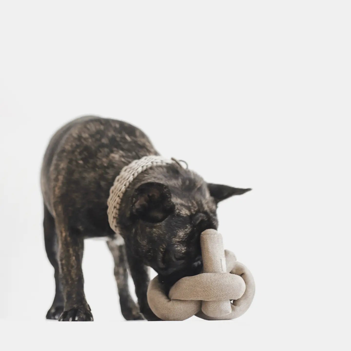 NOUNOU JOUET POUR CHIEN BRUN AVEC GRAPPES FROISSÉES - Toutoustore 