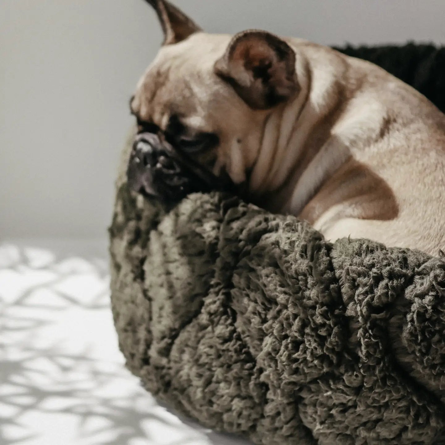 LIT À TARTES POUR CHIEN ET CHAT - Toutoustore 