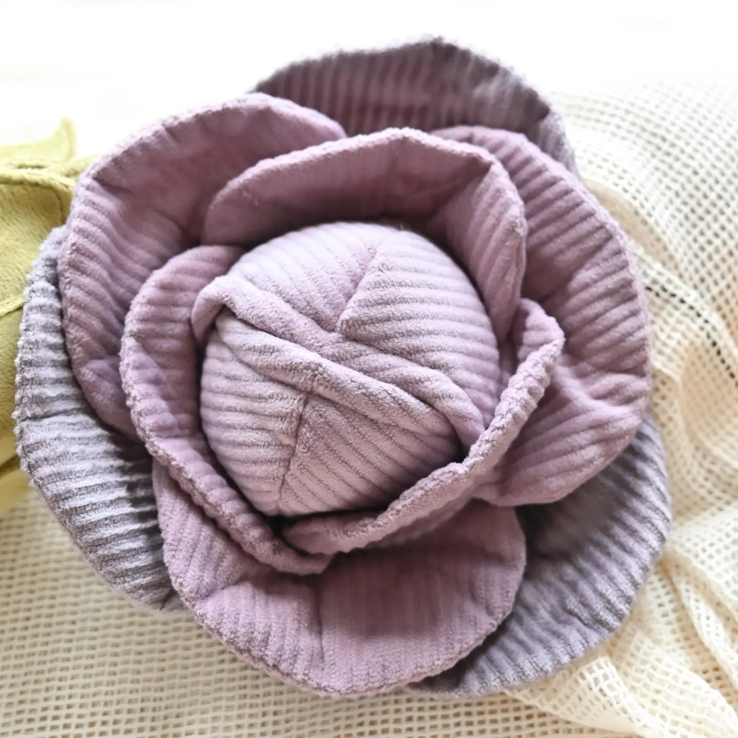 JOUET POUR CHIEN CABBAGE POP ENRICHISSEMENT - Toutoustore 