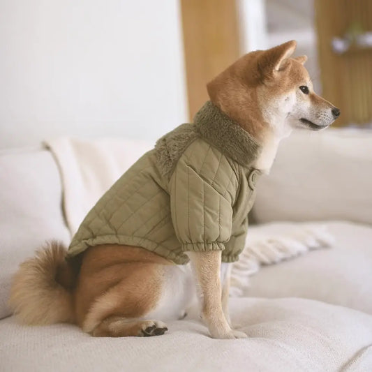 Manteau Vêtements pour Chiens - Toutoustore 