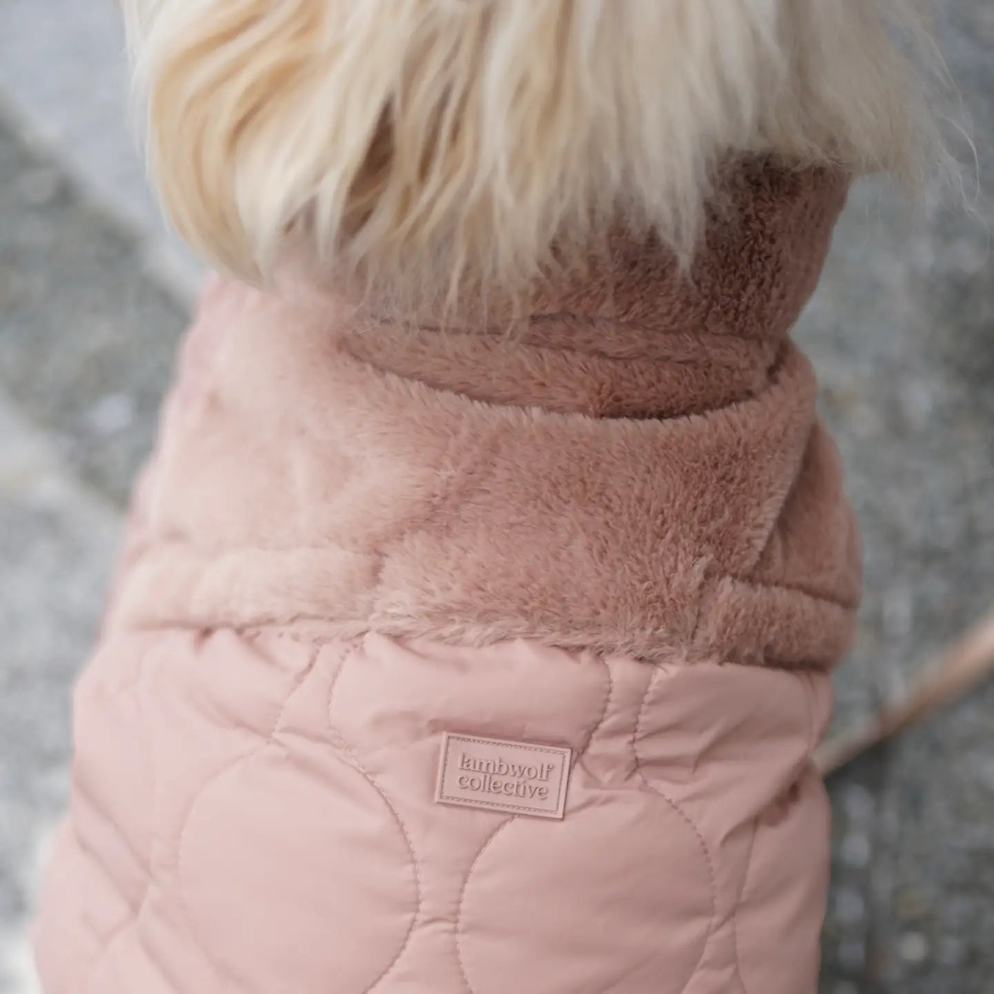 Manteau Vêtements pour Chiens - Toutoustore 