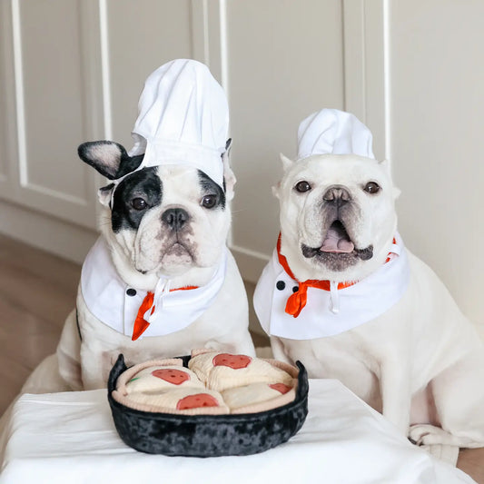 JOUET POUR CHIEN DEEP DISH PIZZA ENRICHISSEMENT - Toutoustore 