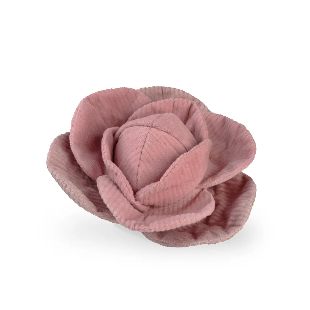 JOUET POUR CHIEN CABBAGE POP ENRICHISSEMENT - Toutoustore 
