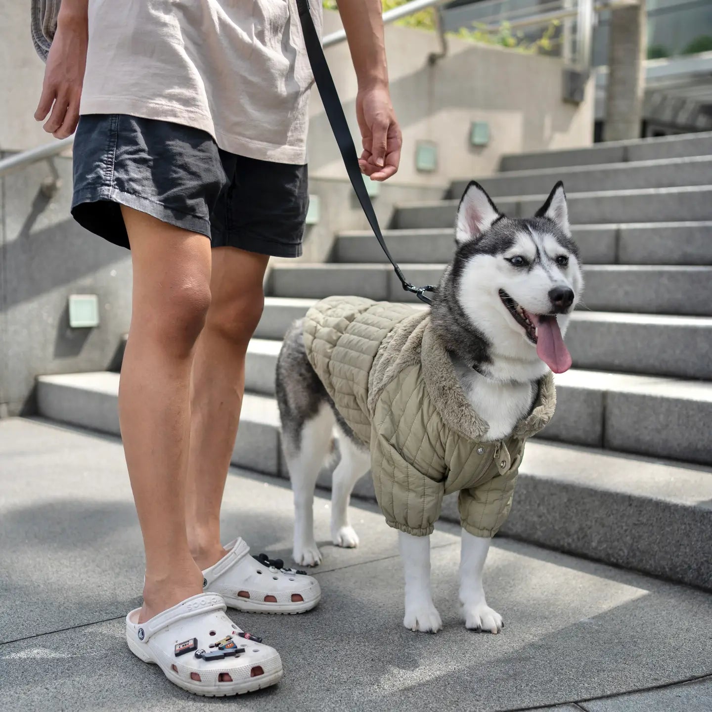Manteau Vêtements pour Chiens - Toutoustore 